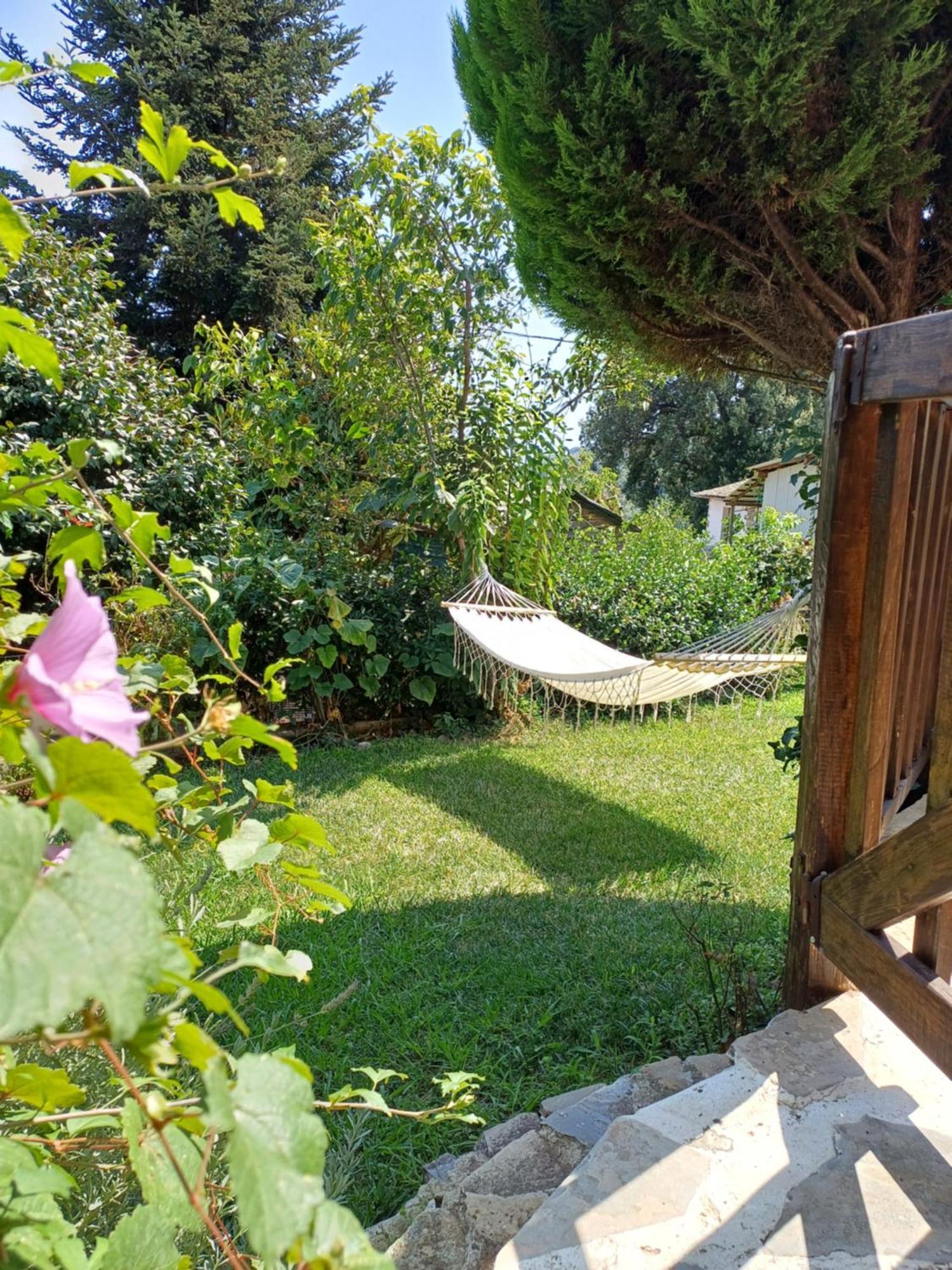 Efi'S Guest House Agios Dimitrios  Ngoại thất bức ảnh