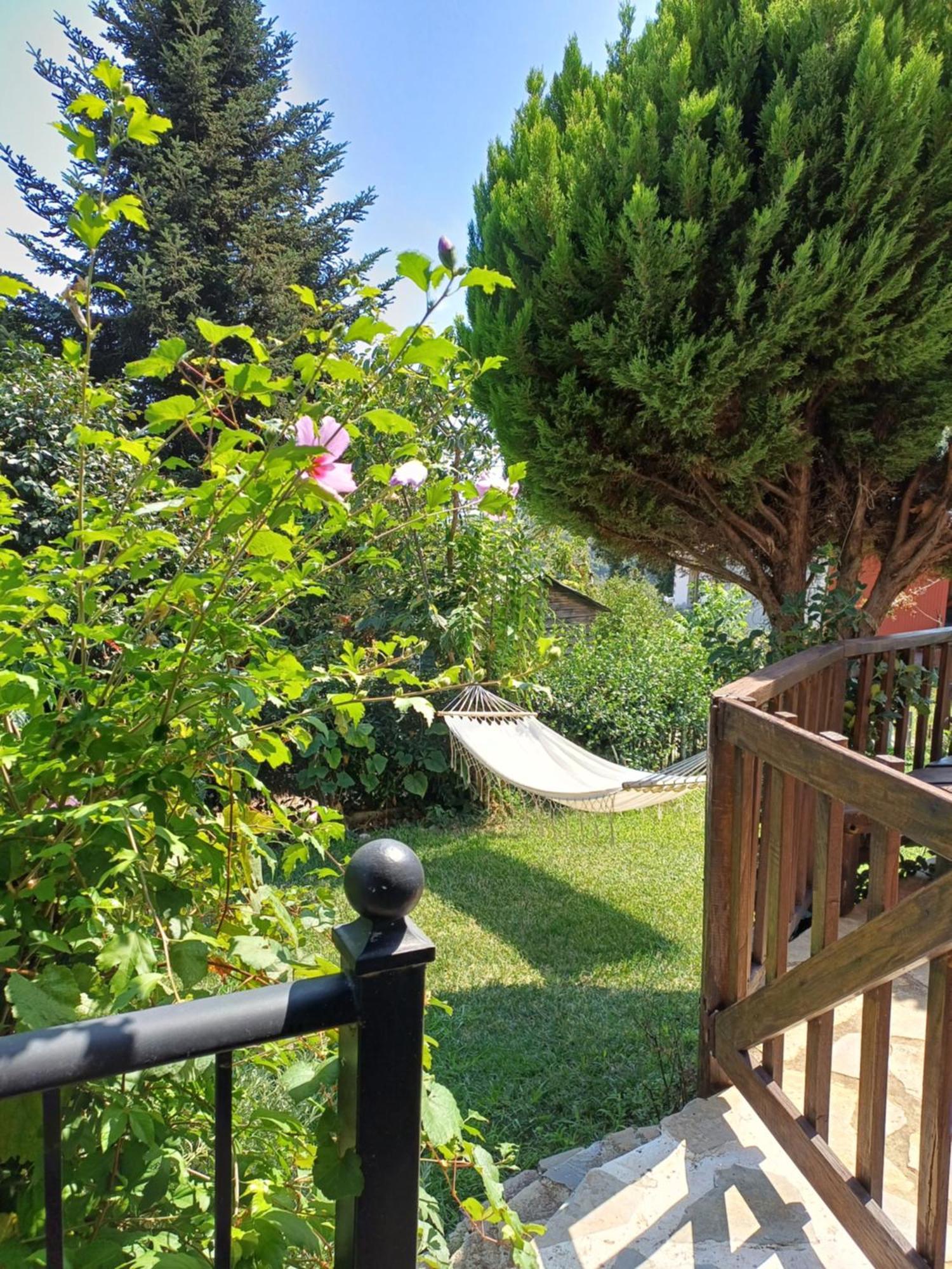 Efi'S Guest House Agios Dimitrios  Ngoại thất bức ảnh